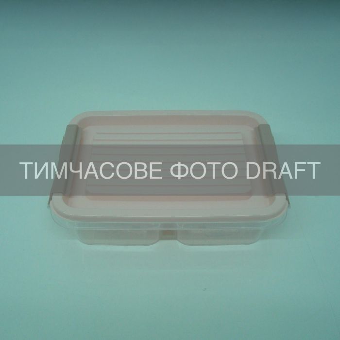 Контейнер двухсекционный для хранения пищевых продуктов ARDESTO Fresh 2х0.25л, пластик, прямоугольная, розовый