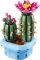 Конструктор LEGO Botanicals  Цвітіння кактуса