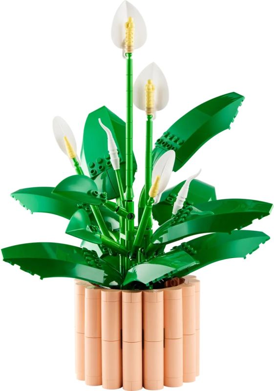 Конструктор LEGO Botanicals Спатифілум