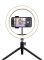Комплект для стримінгу Trust Maku+ 2-in-1 Streaming Kit, зелений фон та кільцева лампа