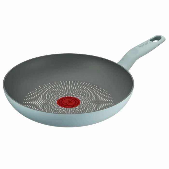 Сковорода Tefal Halo EUCALYPTUS, 24 см, алюминий, бакелит, серый