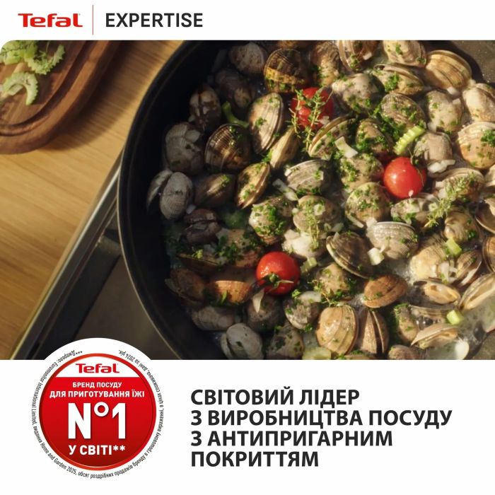 Мультисковорода Tefal Expertise, с крышкой, 24см, алюминий, бакелит, стекло, черный