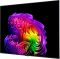 Телевизор 65" LG OLED 4K 120Hz (VRR 165Hz) Smart WebOS Black