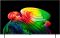 Телевізор 55" LG OLED 4K 120Hz Smart WebOS Black