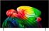 Телевізор 55" LG OLED 4K 120Hz Smart WebOS Black