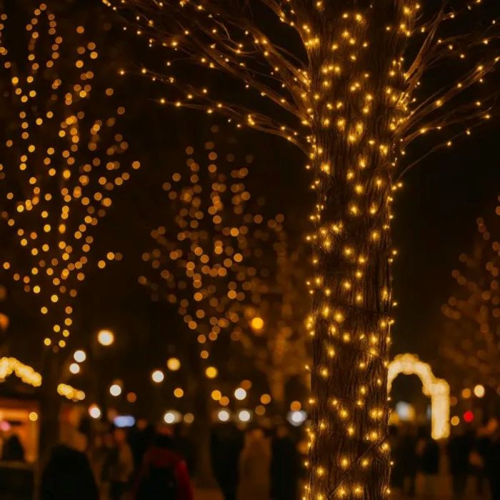 Гірлянда Нитка вулична 30 (м) 300 LED чорний провід Жовтий CF300L30MBY