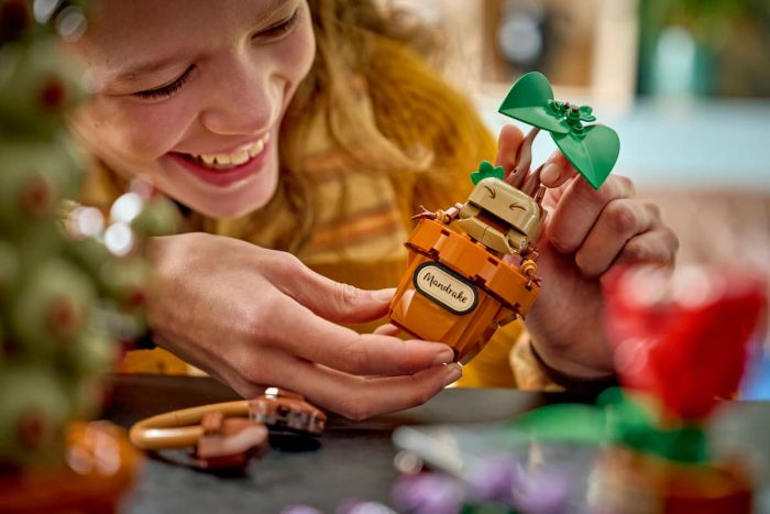 Конструктор LEGO Harry Potter Растения с курса гербологии в Хогвартсе