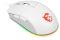 Комплект клавіатура та миша MSI Vigor GK30 COMBO WHITE UA USB, EN/UKR/RU, RGB, білий