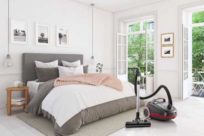 Пылесос Gorenje мешковый, 700Вт, мешок-3л, HEPA, щетка Xpand Zone, turbo brush, телескоп, черный графит