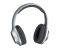 Навушники Panasonic RB-HX220BEE Over-ear Wireless Mic Сільвер