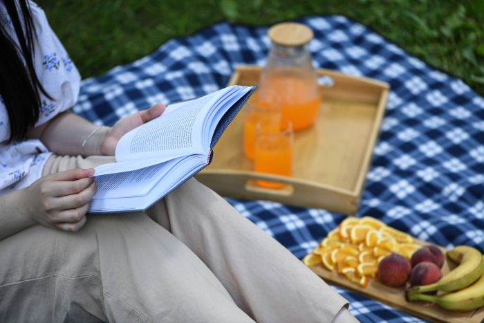 Плед Ardesto Picnic 130х170см, 100% поліестер, клітинка синій