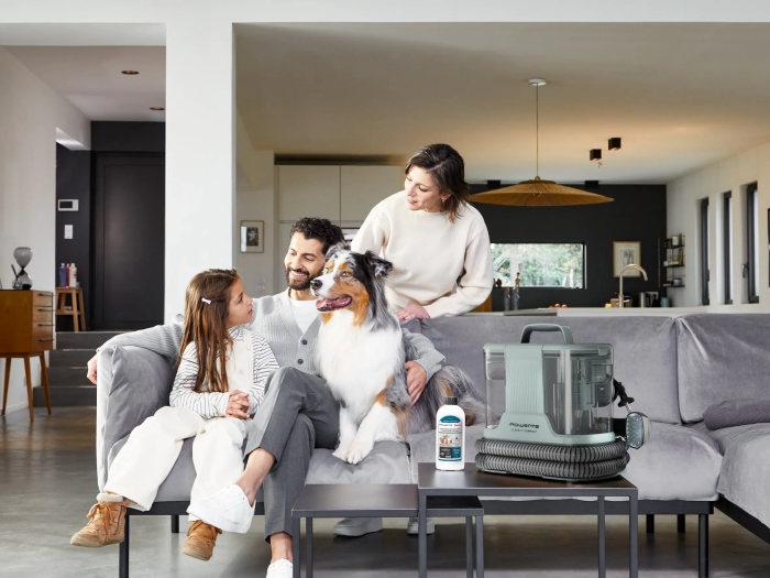 Пилосос Rowenta миючий Clean It Compact, 400Вт, конт пил -0,85л, вода -1,4л, 11500 Па, 4 насадки, зелений