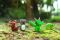 Ігровий набір Roblox Multipack Adopt Me: Backyard BBQ