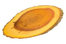 Дошка обробна Eco Tabulas 420 x 230 x 30мм овальна в корі Lux (ас74)